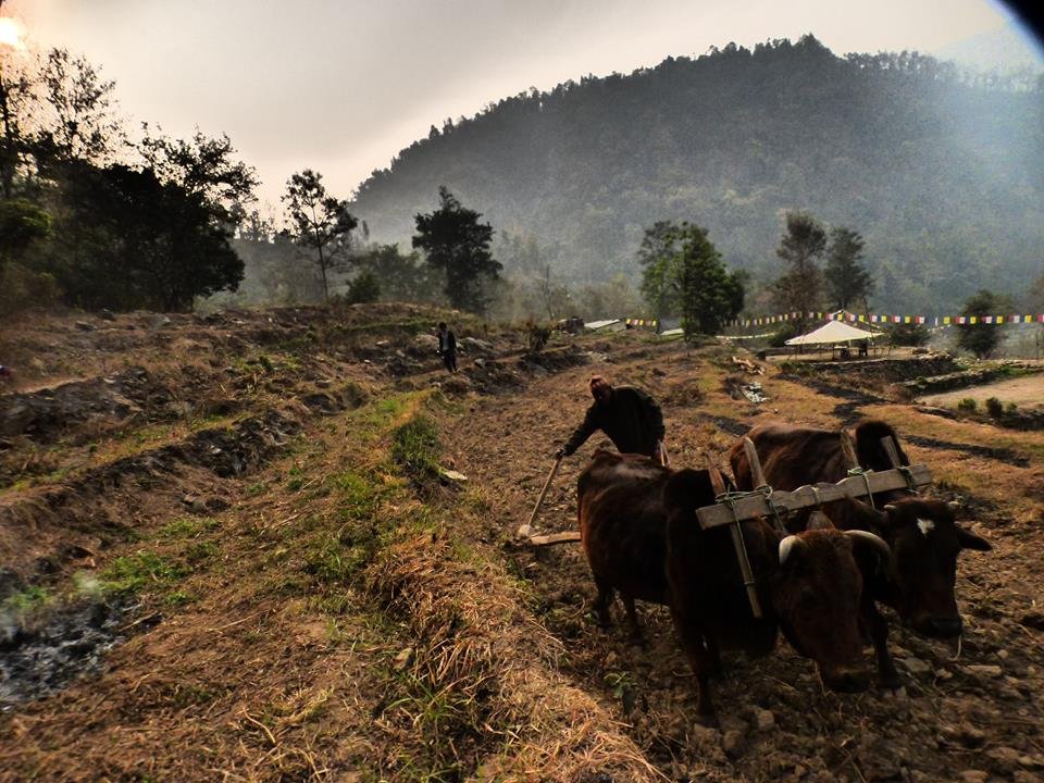 gurung valley